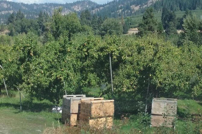 WASHINGTON ST AGRICULTURE, Apples & Irrigation - An In-Depth Look at the Washington St Agriculture, Apples & Irrigation Tour