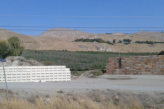 WASHINGTON ST AGRICULTURE, Apples & Irrigation - Value and Practical Aspects