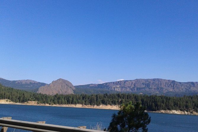 WASHINGTON ST AGRICULTURE, Apples & Irrigation - FAQ