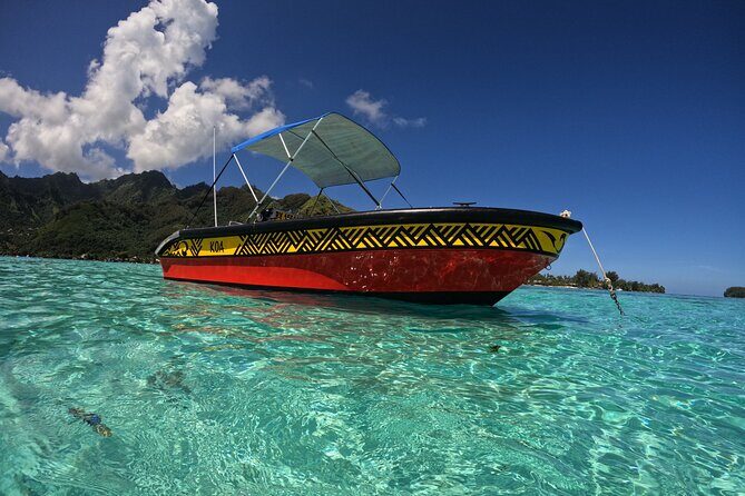 Watch and Swim with Humpback Whales in Moorea - Meeting Point and Logistics