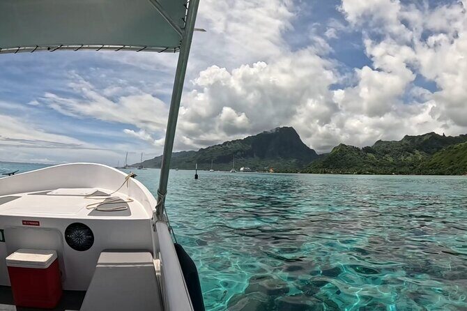 Watch and Swim with Humpback Whales in Moorea - Price and Value