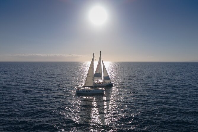 Watching and Listening Whales Visiting Los Gigantes&Masca. Food&Drinks Included - Anchoring in the Bay of Masca