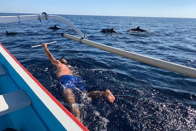 Watching Dolphins Swimming and Snorkeling in Lovina Bali - Pricing Information