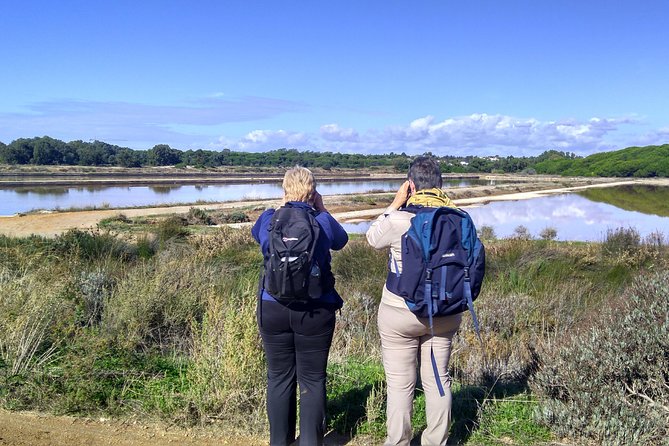 Watching the Blue Skies of Monte Gordo - Self-Guided Birding W/ Car - Key Points