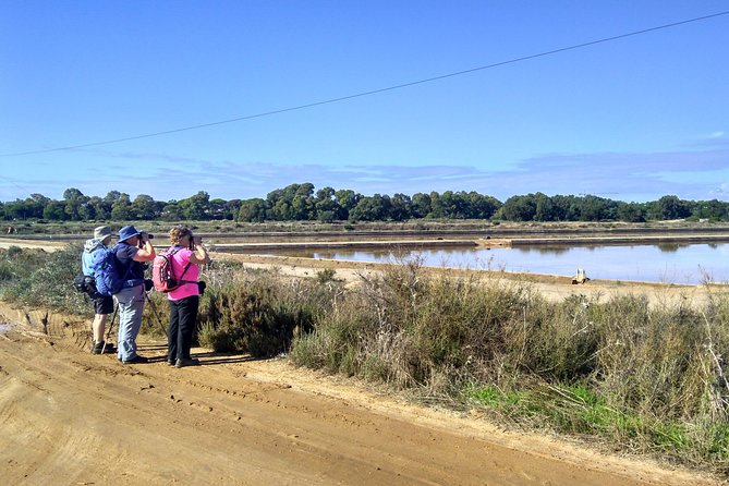 Watching the Blue Skies of Monte Gordo - Self-Guided Birding W/ Car - Highlights and Recommendations