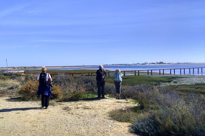 Watching the Blue Skies of Monte Gordo - Self-Guided Birding W/ Car - The Sum Up