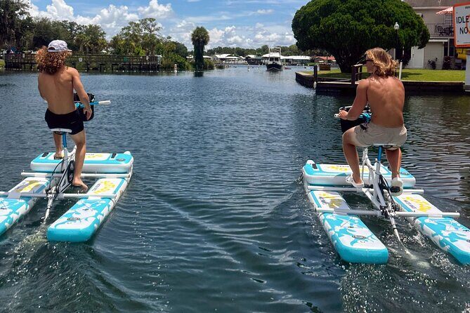 Water Bike Rental in Crystal River - Introducing the Experience