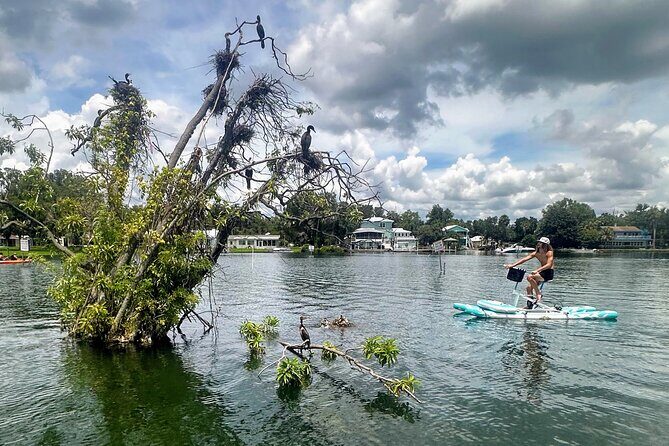 Water Bike Rental in Crystal River - Key Points