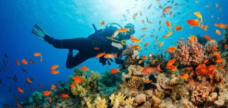 water sports experience in bali - Who Will Love This Experience?