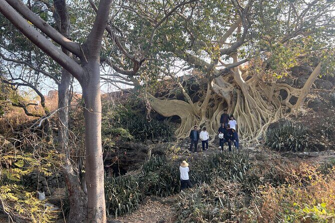 Water TOUR - Lakes, Islands, Fortresses and Artisan Workshops - Who Will Love This Tour?