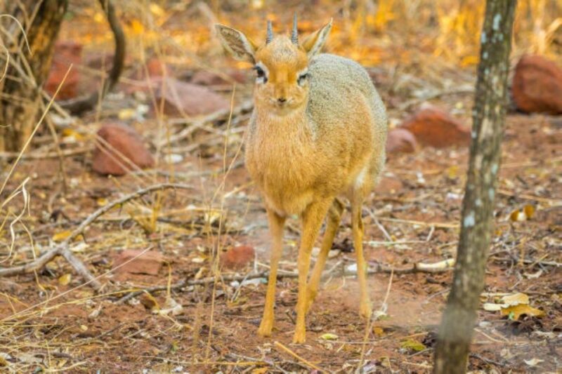 WaterBerg (Bela Bela) 3 Days Experiences - Inclusions in the WaterBerg Experience