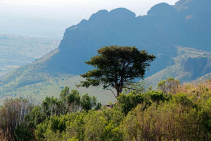 WaterBerg (Bela Bela) 3 Days Experiences - Wildlife Encounters