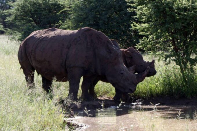 WaterBerg (Bela Bela) 3 Days Experiences - Frequently Asked Questions