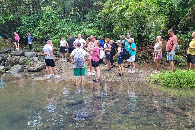 Waterfall and Beach Safari in Santa Lucia - Practical Details and Tips