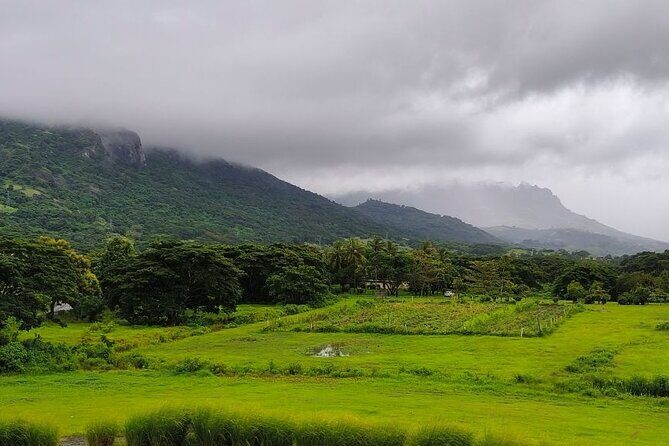 Waterfall and Fijian Village Tour with Light Lunch ex Nadi Area Hotels - Authentic Experiences and Highlights