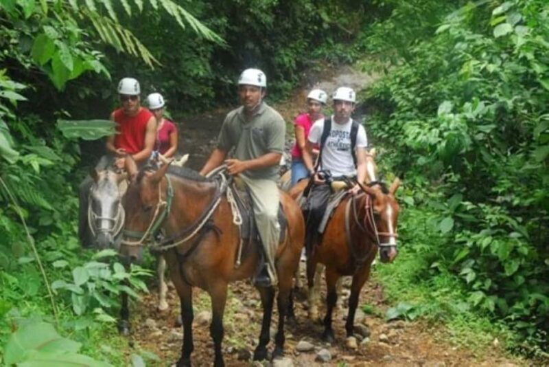 Waterfall El Limón and Cayo Levantado Island from Bayahibe - Authentic Feedback from Travelers