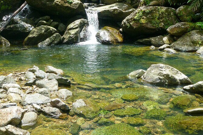 Waterfall Hike in Remote Area of El Yunque Rainforest; San Juan - Who Will Love This Tour?