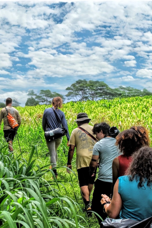 Waterfall Hiking Tour - Itinerary and Experience