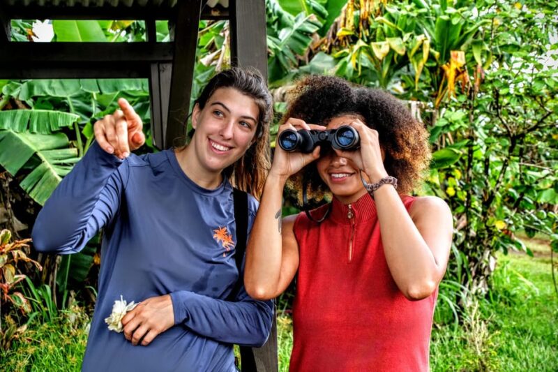 Waterfall Hiking Tour - Whats Included