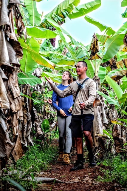Waterfall Hiking Tour - Important Information