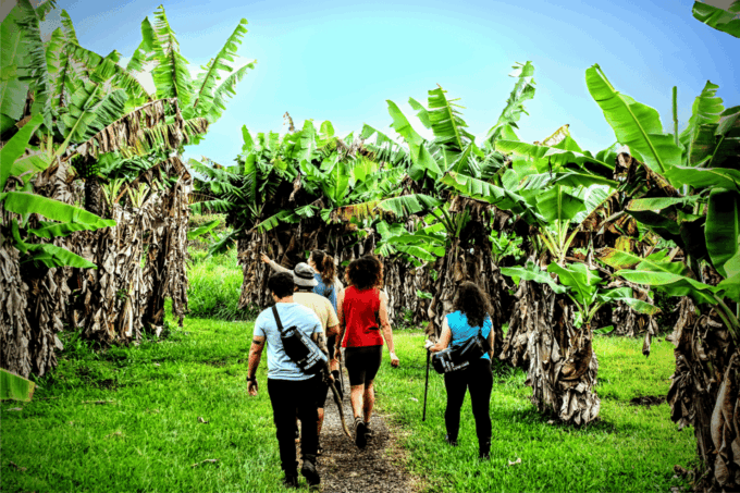 Waterfall Hiking Tour - Travel Tips