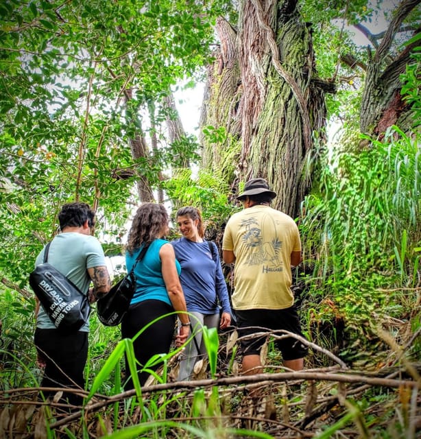 Waterfall Hiking Tour - Booking Details