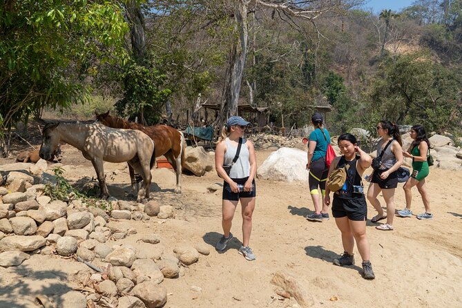 Waterfall in the Jungle of Puerto Vallarta - Cancellation Policy