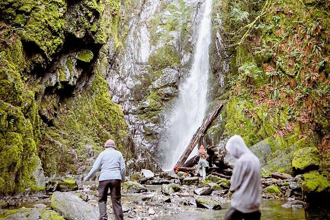 Waterfall, Skywalk, Lagoon Picnic, Castle and Whales in Victoria - Authentic Feedback from Travelers