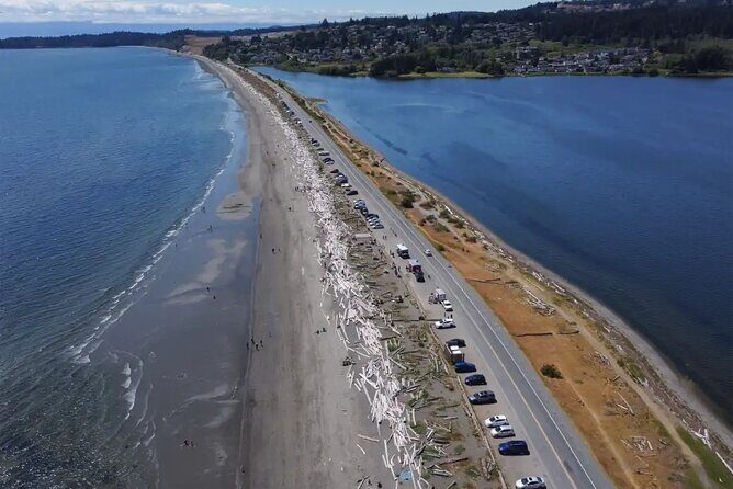 Waterfall, Skywalk, Lagoon Picnic, Castle and Whales in Victoria - Final Thoughts: Who Will Appreciate This Tour?