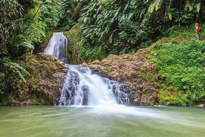 Waterfalls Adventure Hikes in St. George's, Grenada - Discovering Grenada’s Waterfalls: An In-Depth Look
