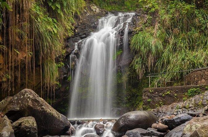 Waterfalls Adventure Hikes in St. George's, Grenada - Final Thoughts: Why This Tour Is a Great Choice