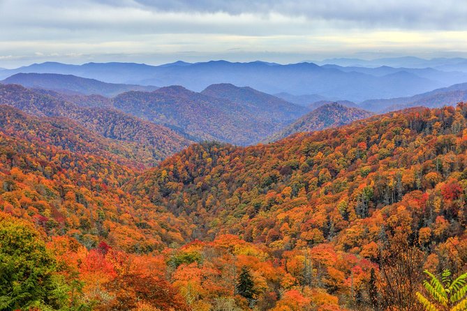 Waterfalls and Blue Ridge Parkway Hiking Tour With Expert Naturalist - Traveler Reviews