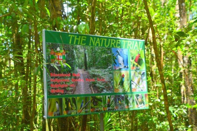 Waterfalls and Nature Tour - What You’ll Love About the Waterfalls and Nature Tour