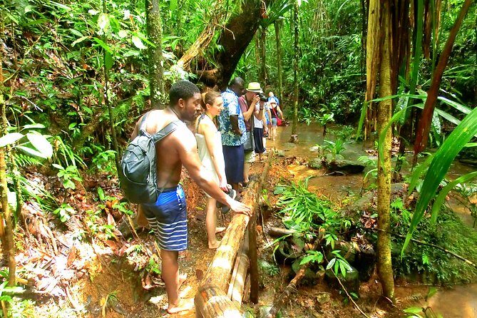 Waterfalls and Nature Tour - What the Reviews Say