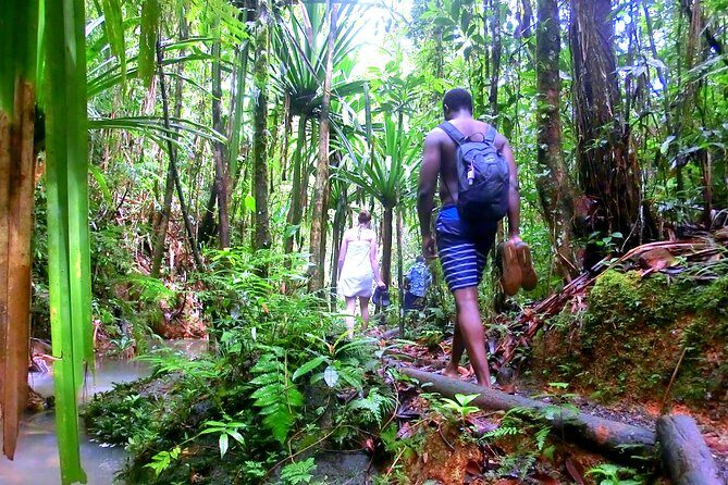 Waterfalls and Nature Tour - The Sum Up: Who Should Consider This Tour?