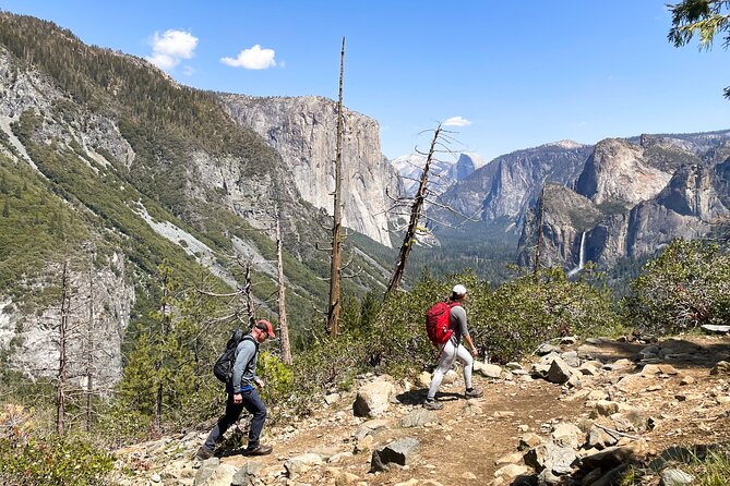 Waterfalls of Yosemite - Customizable Private Tour - Accessibility and Conditions