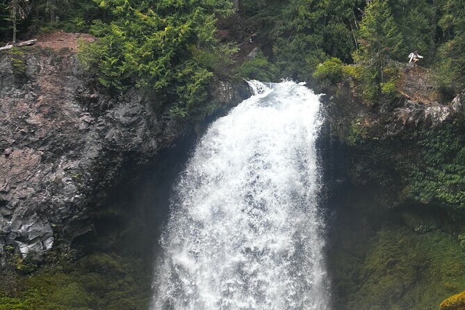 Waterfalls & the McKenzie River in a Tesla - What Past Participants Say