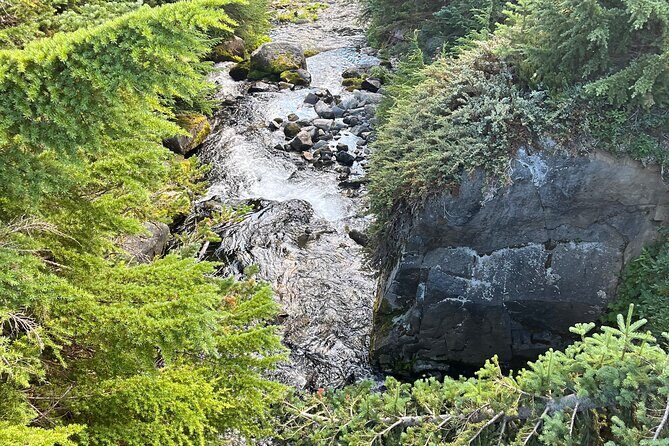 Waterfalls & the McKenzie River in a Tesla - Who Will Love This Experience?