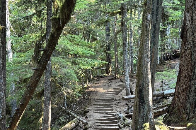 Waterfalls & the McKenzie River in a Tesla - Final Thoughts