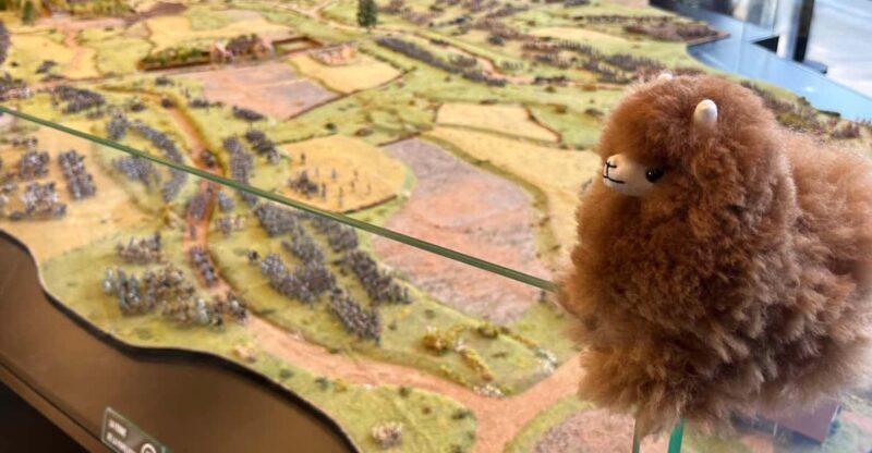 Waterloo from Brussels Half-Day Tour - Is This Tour Worth It?