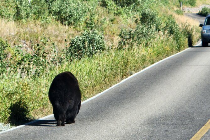 Waterton Lakes Park and South Alberta Private Scenic Tour - The Sum Up