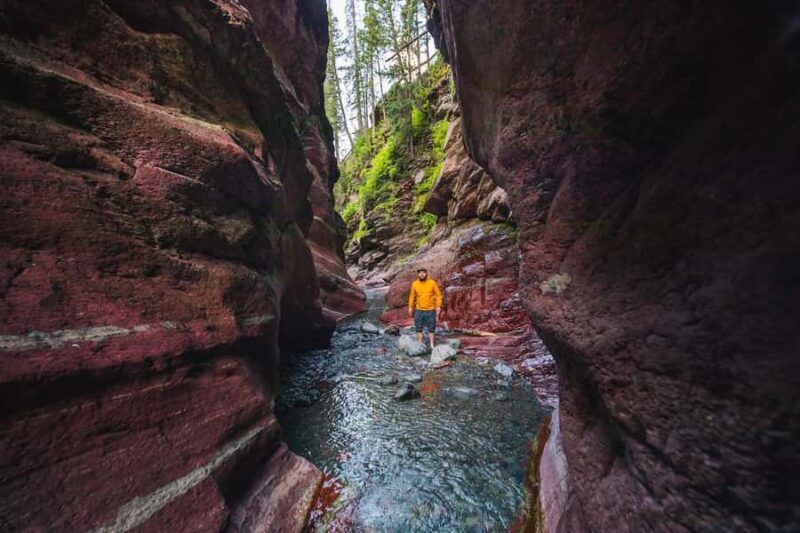 Waterton National Park and Bison Safari Tour with Picnic - The Sum Up