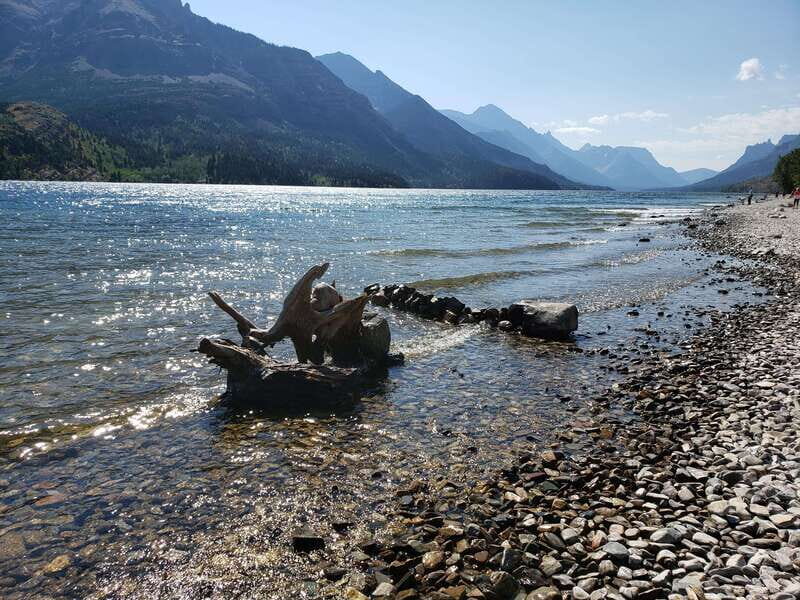 Waterton National Park Full-Day Private Tour From Calgary - Introduction: A Taste of Waterton’s Natural Beauty Without the Hassle
