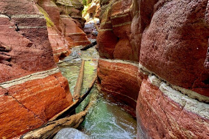 Waterton National Park Premium Day Tour - Downsides and Considerations