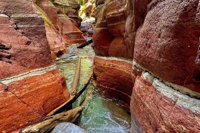 Waterton National Park Premium Day Tour - The Value of This Tour