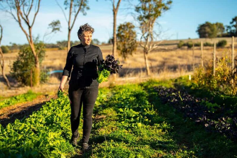 Watervale: Penobscot Farm Tour with Chef and 5-Course Lunch - Who Should Consider This Experience?