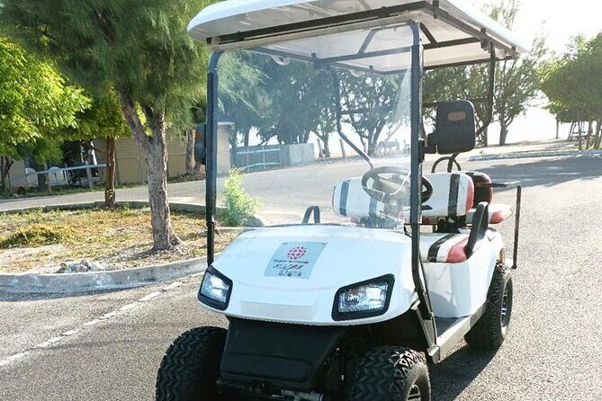 Watkins UTV American Golf Cart Rentals - Exploring the Details of Watkins UTV Golf Cart Rentals