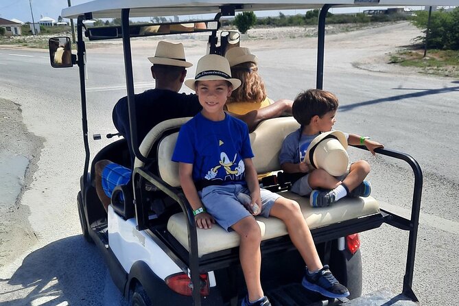 Watkins UTV American Golf Cart Rentals - Operational Challenges