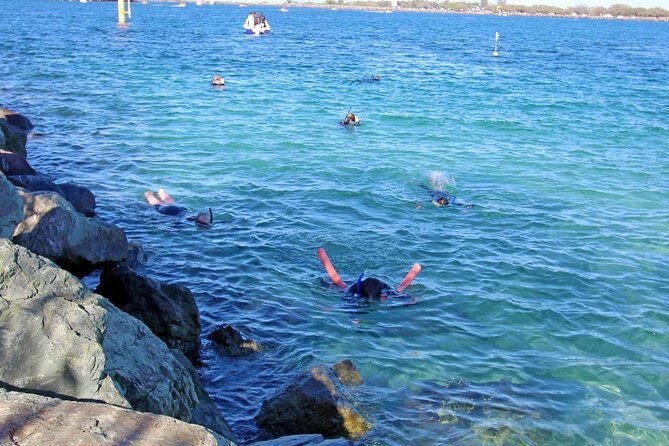 Wave Break Island Snorkel Tour on the Gold Coast - The Itinerary in Detail: Breaking It Down