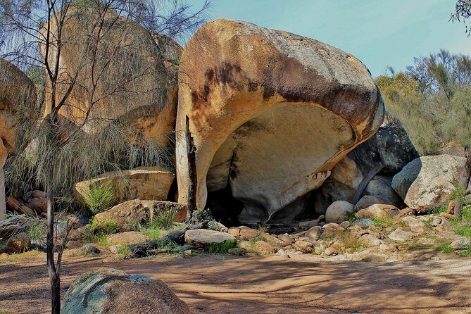 Wave Rock and Pinnacles Air & Ground Tour - The Pinnacles: A Landscape of Limestone Pillars